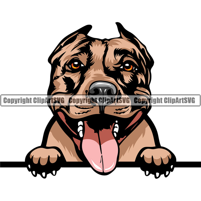 Pit Bull Peeking Dog Breed ClipArt SVG
