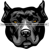 Pit Bull Dog Breed Head Face ClipArt SVG