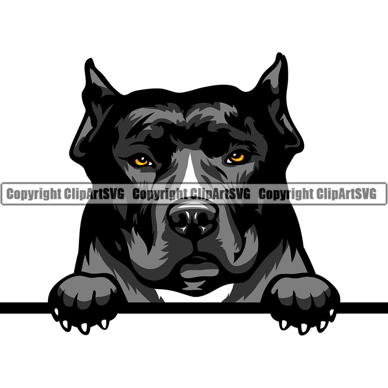 Pit Bull Peeking Dog Breed ClipArt SVG