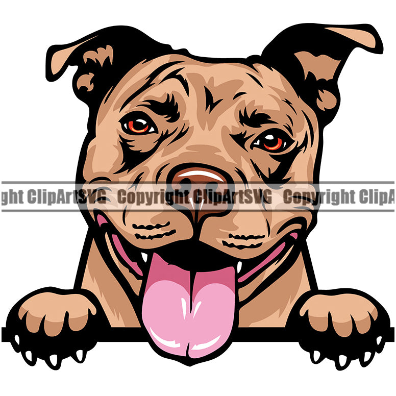 Pit Bull Peeking Dog Breed ClipArt SVG
