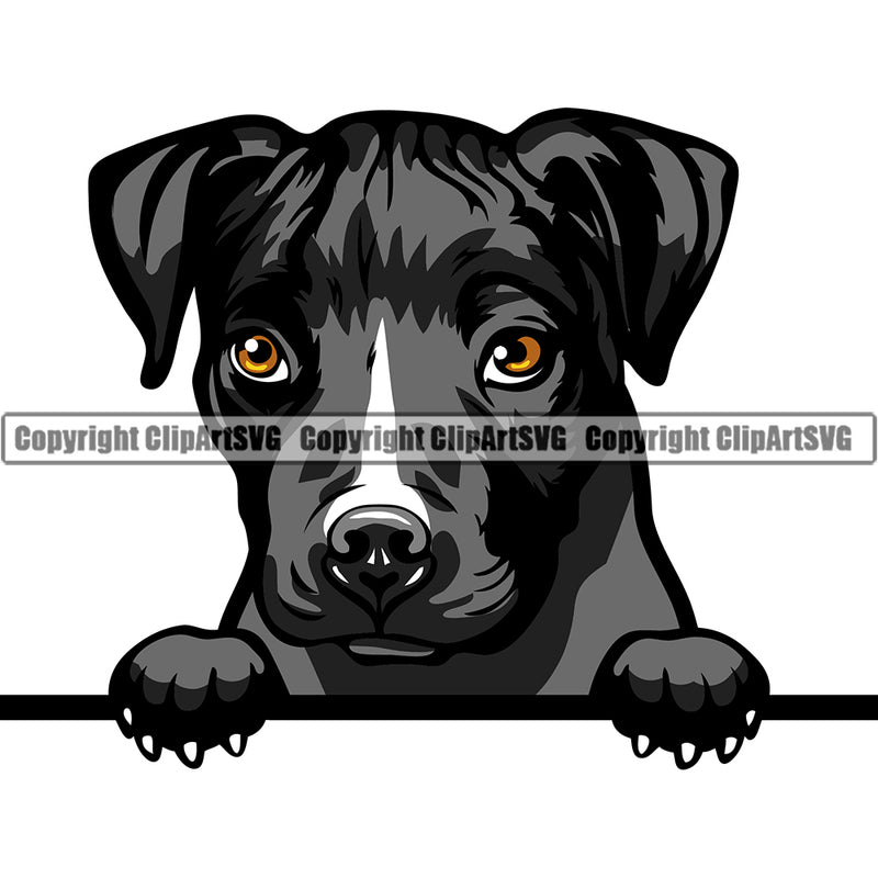 Pit Bull Peeking Dog Breed ClipArt SVG