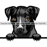 Pit Bull Peeking Dog Breed ClipArt SVG