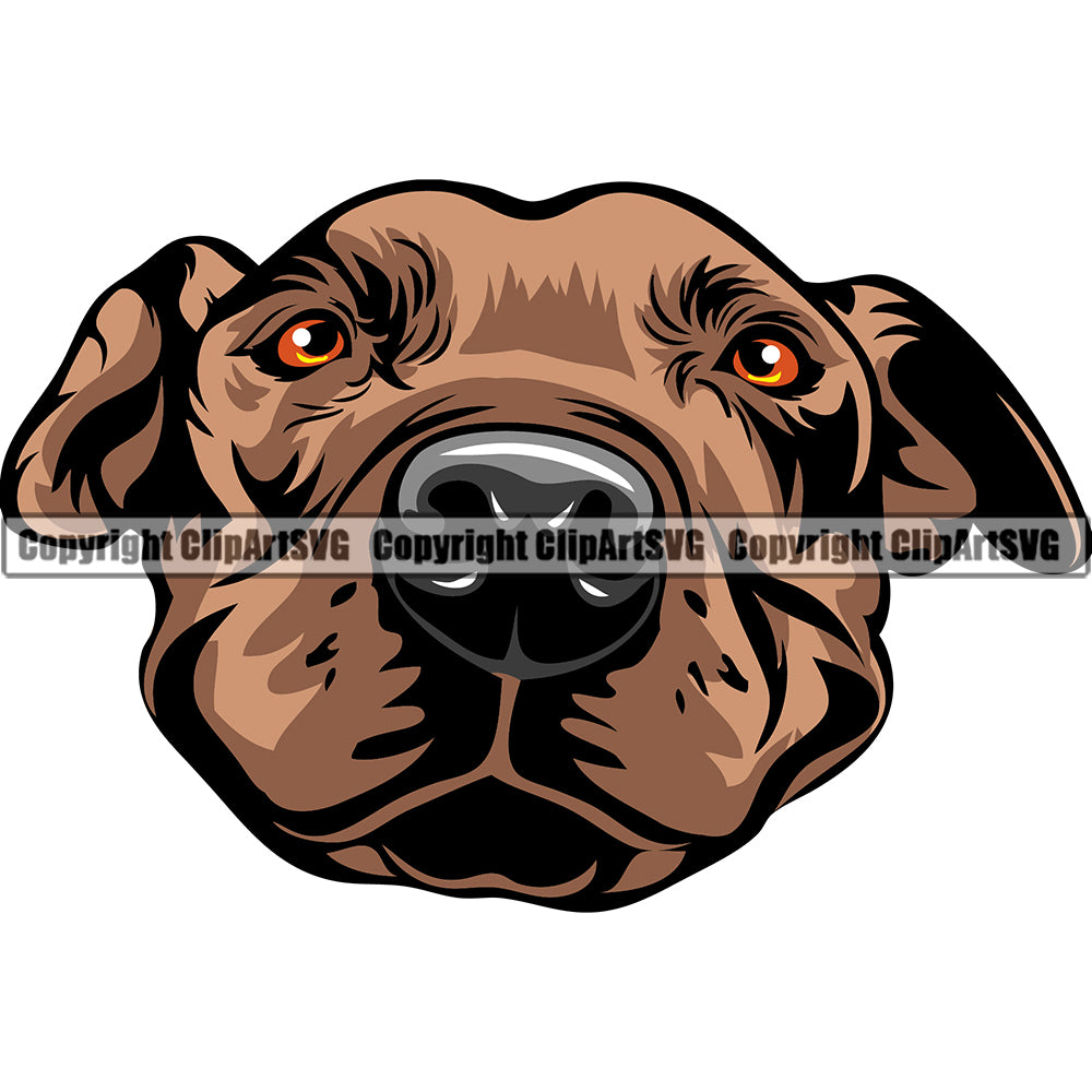 Pit Bull Dog Breed Head Face ClipArt SVG
