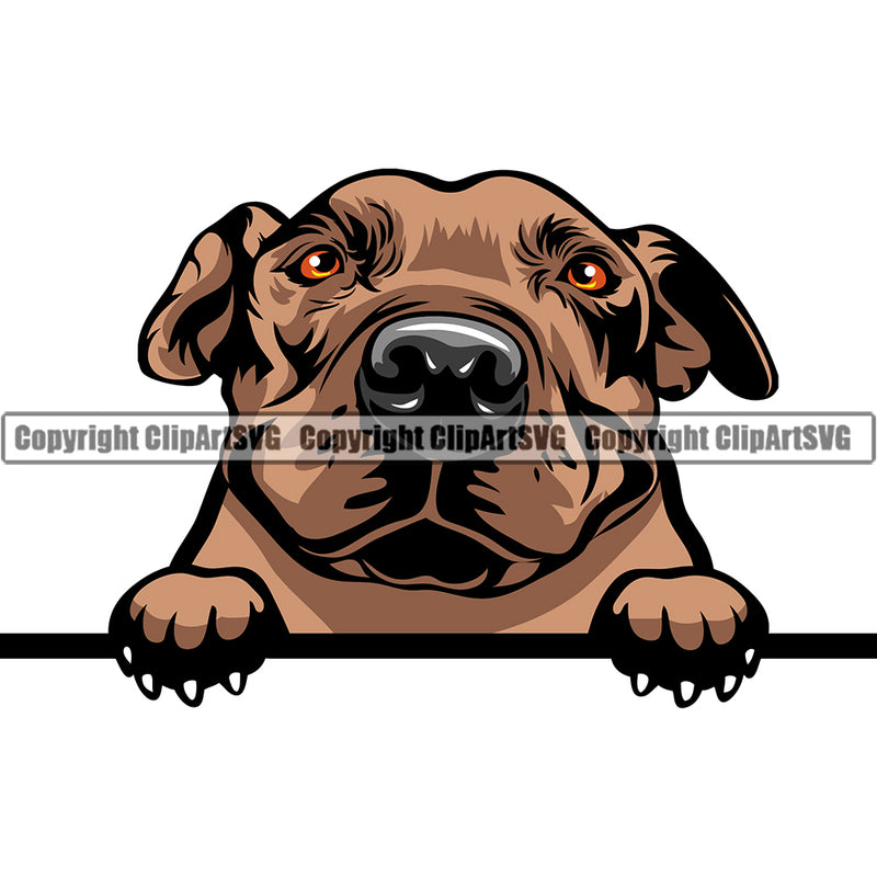 Pit Bull Peeking Dog Breed ClipArt SVG