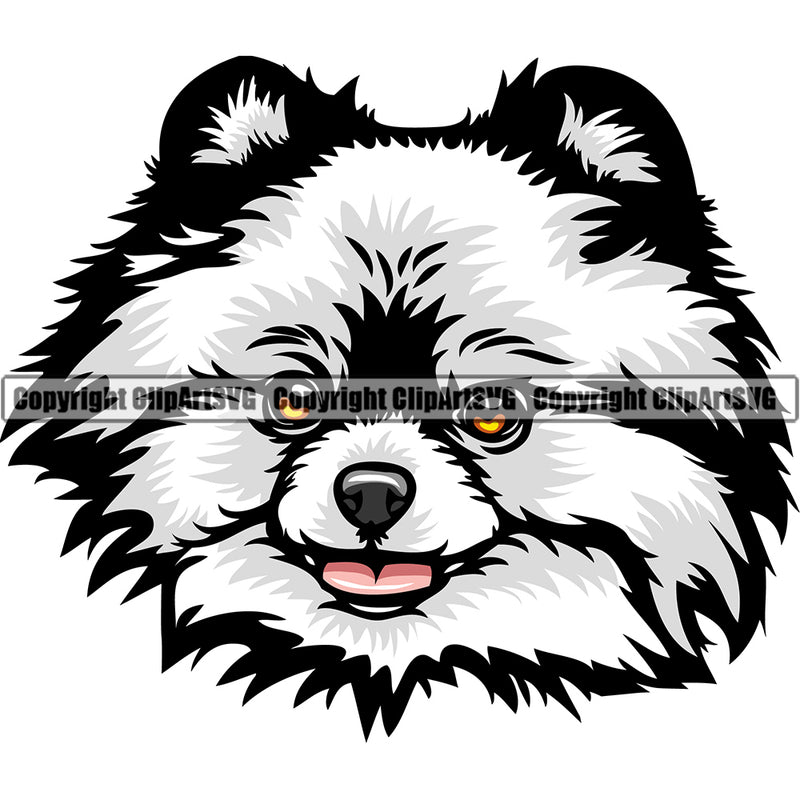 Pomeranian Dog Breed Head Color ClipArt SVG