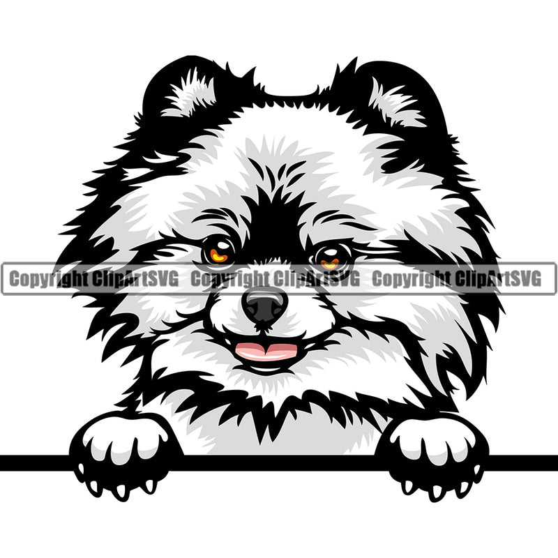 Pomeranian Peeking Dog Breed ClipArt SVG