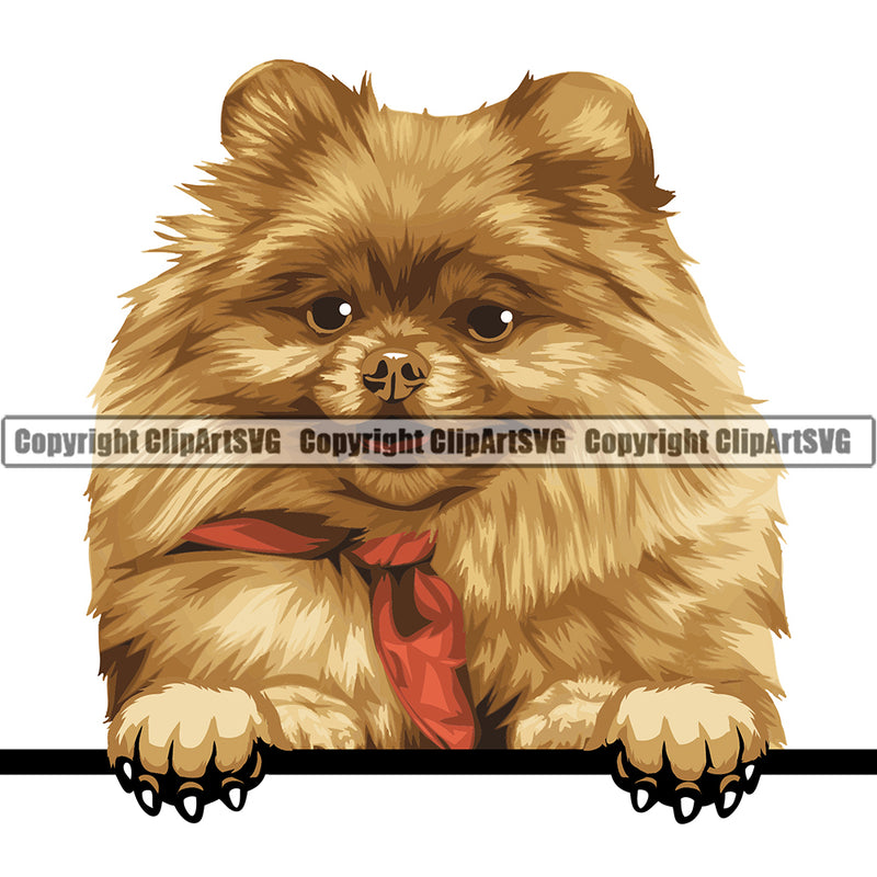 Pomeranian Peeking Dog Breed ClipArt SVG