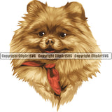 Pomeranian Dog Breed Head Color ClipArt SVG
