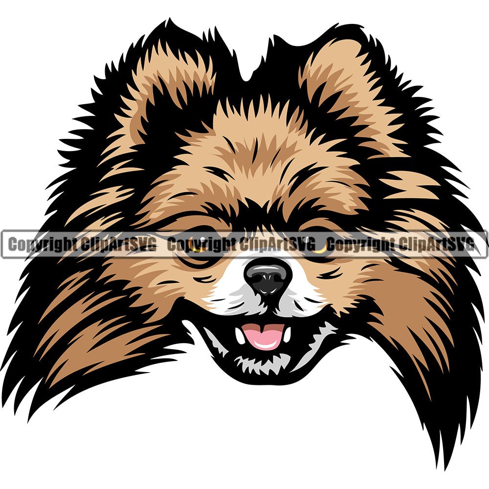 Pomeranian Dog Breed Head Color ClipArt SVG