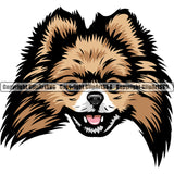 Pomeranian Dog Breed Head Color ClipArt SVG