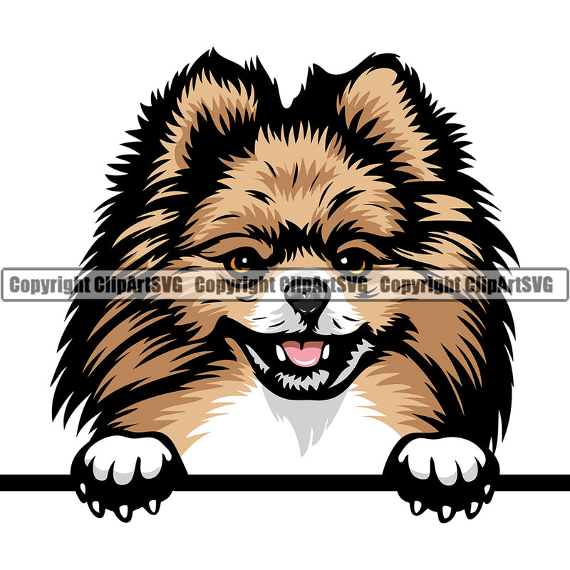Pomeranian Peeking Dog Breed ClipArt SVG
