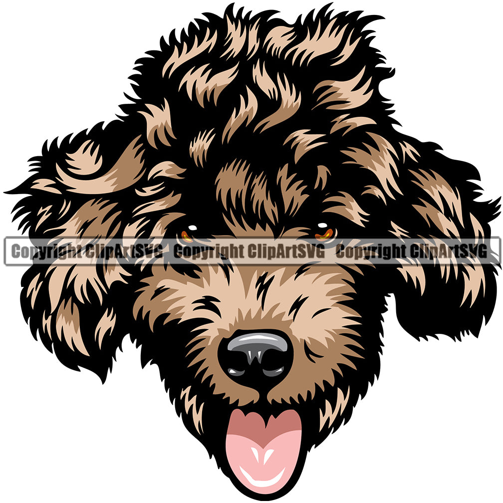 Poodle Dog Breed Head Color ClipArt SVG