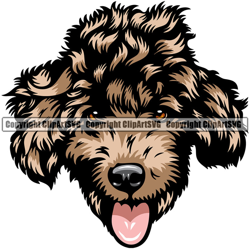 Poodle Dog Breed Head Color ClipArt SVG