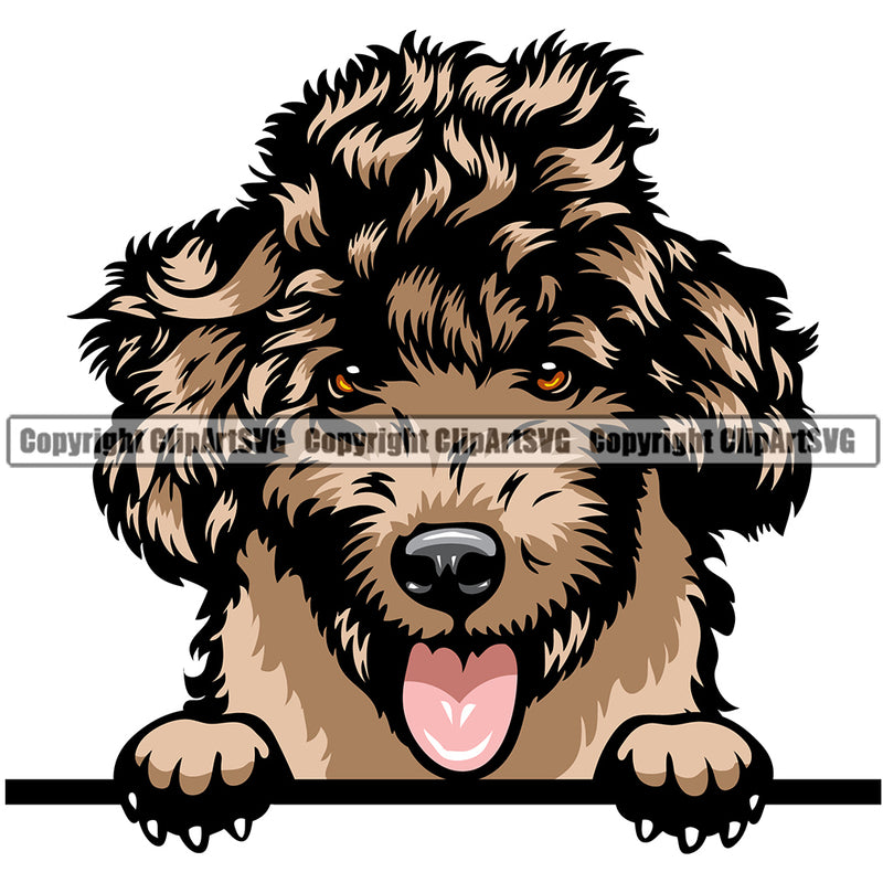 Poodle Dog Breed Peeking Color ClipArt SVG