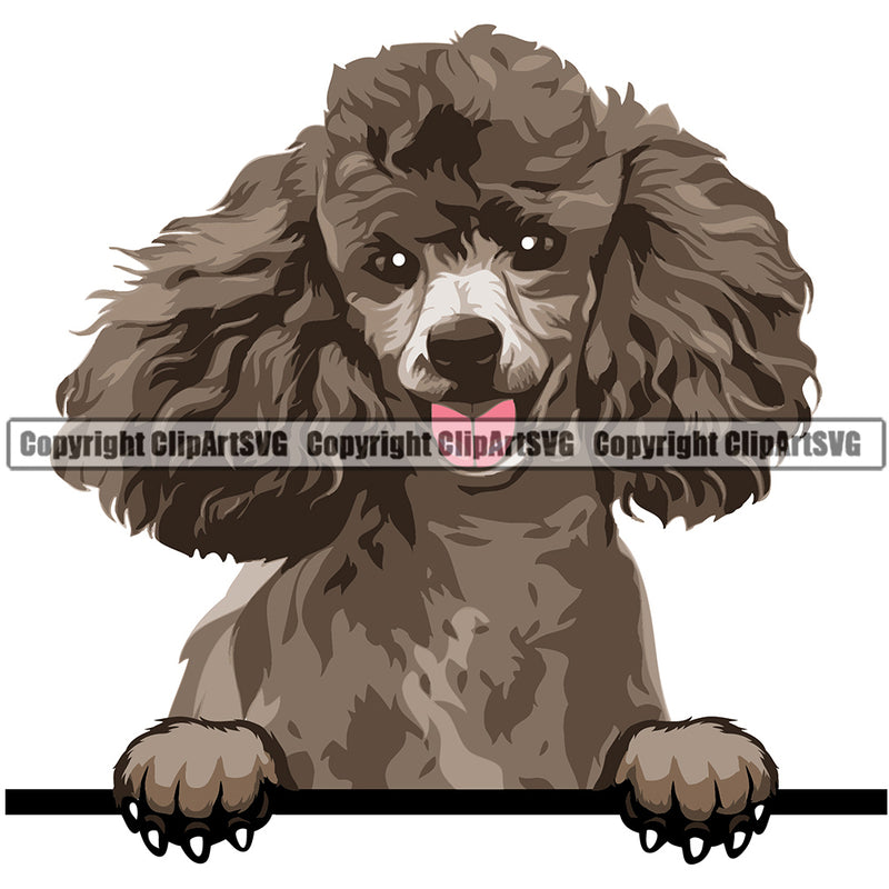Poodle Dog Breed Peeking Color ClipArt SVG