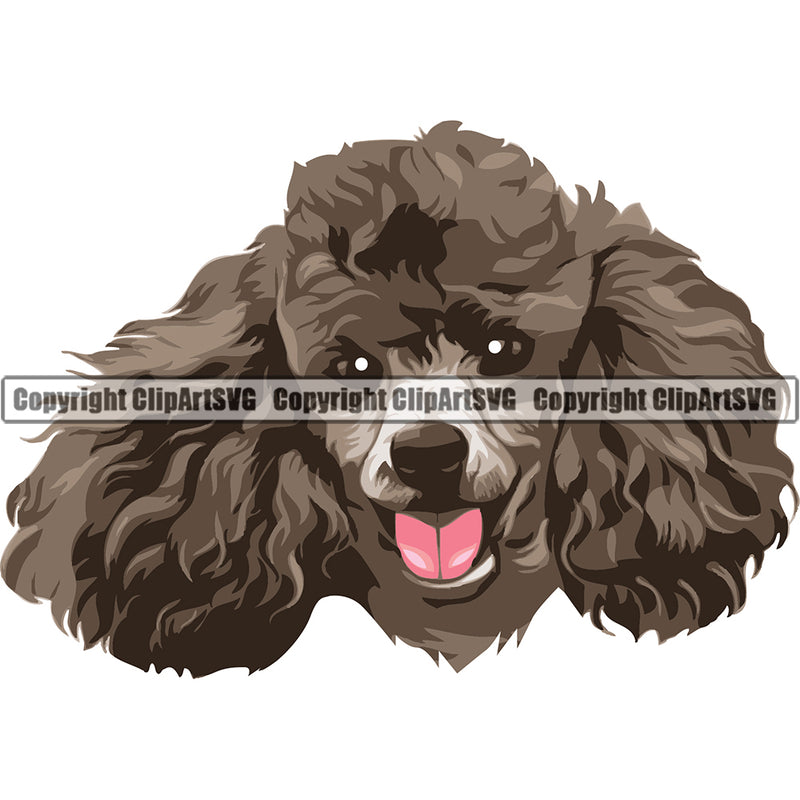 Poodle Dog Breed Head Color ClipArt SVG