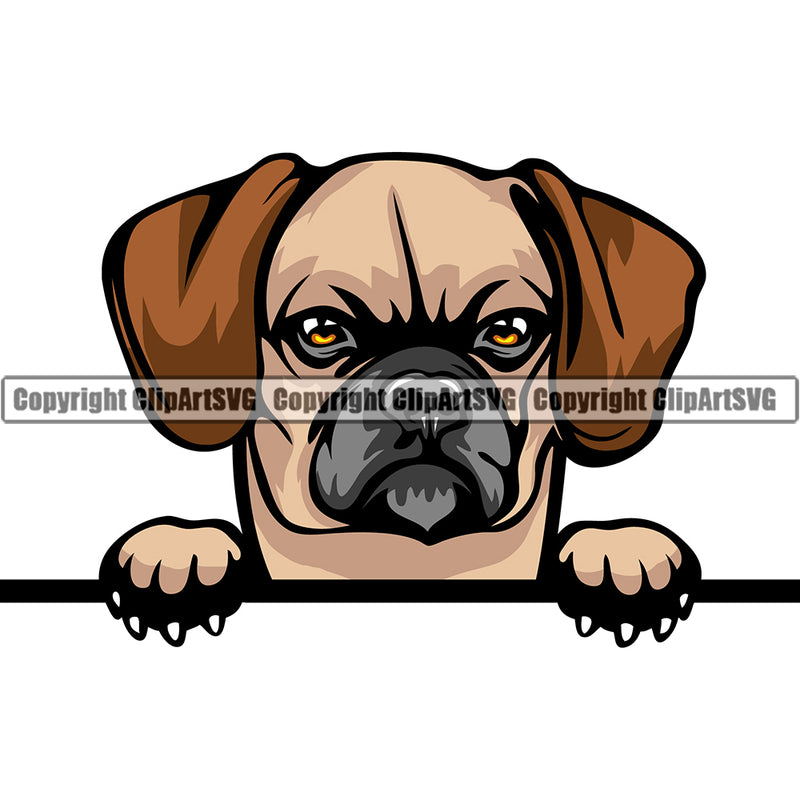 Puggle Peeking Dog Breed ClipArt SVG