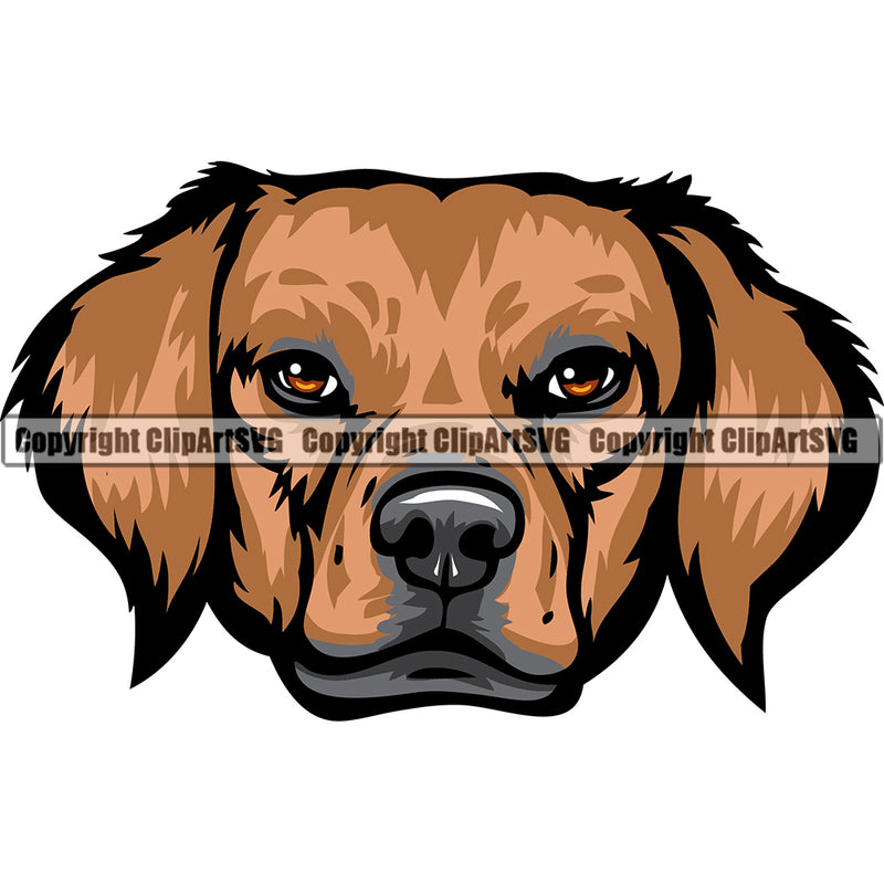 Rhodesian Ridgeback Dog Breed Head Face ClipArt SVG