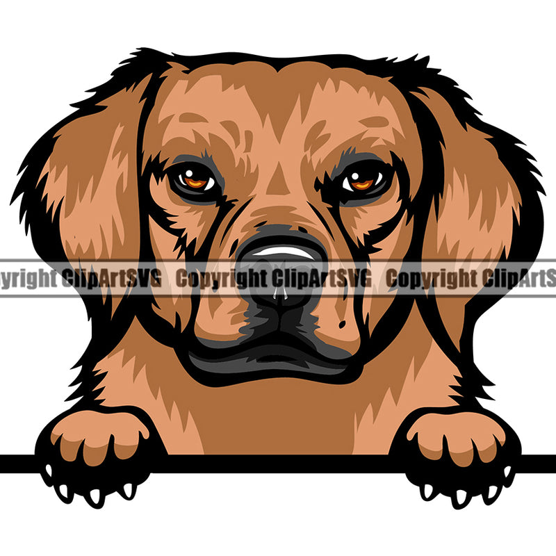 Rhodesian Ridgeback Peeking Dog Breed ClipArt SVG