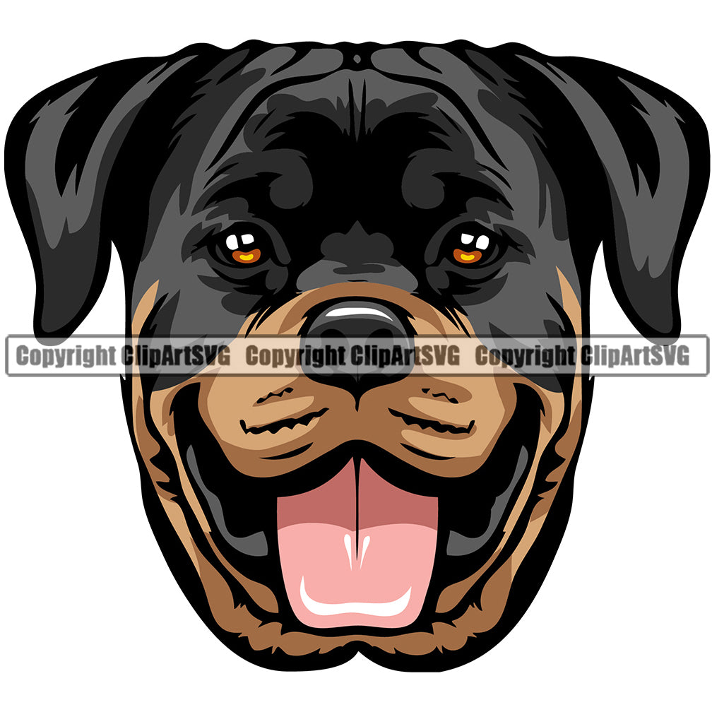 Rottweiler Dog Breed Head Color ClipArt SVG