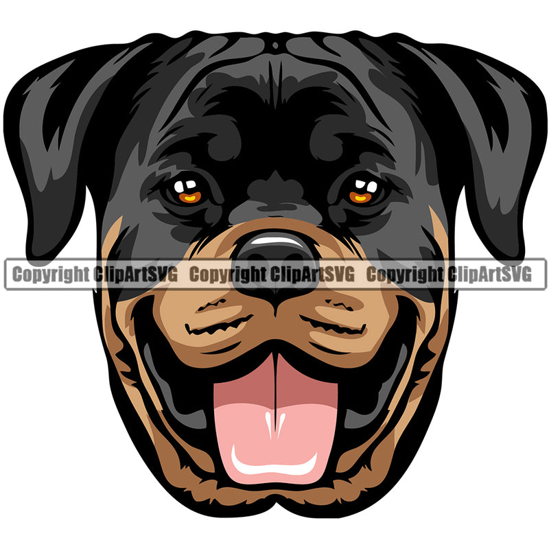 Rottweiler Dog Breed Head Color ClipArt SVG