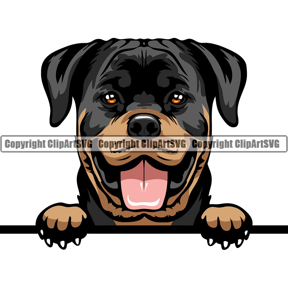 Peeking Dog - Rottweiler Breed Color ClipArt SVG