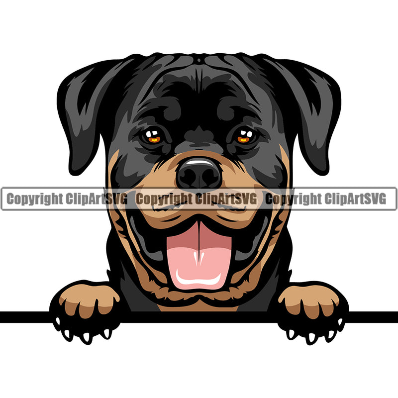 Peeking Dog - Rottweiler Breed Color ClipArt SVG