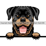 Peeking Dog - Rottweiler Breed Color ClipArt SVG