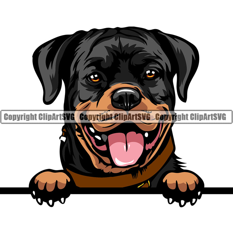 Peeking Dog - Rottweiler Breed Color ClipArt SVG