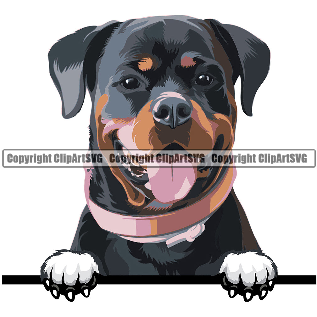 Rottweiler Dog Breed Peeking Color ClipArt SVG