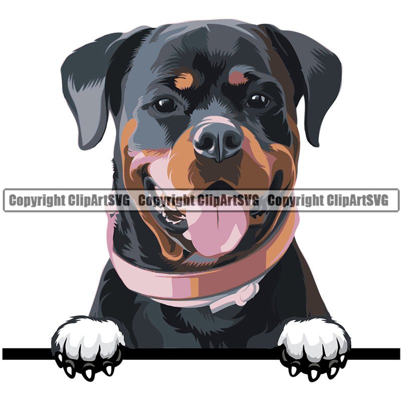 Rottweiler Dog Breed Peeking Color ClipArt SVG