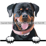 Rottweiler Dog Breed Peeking Color ClipArt SVG