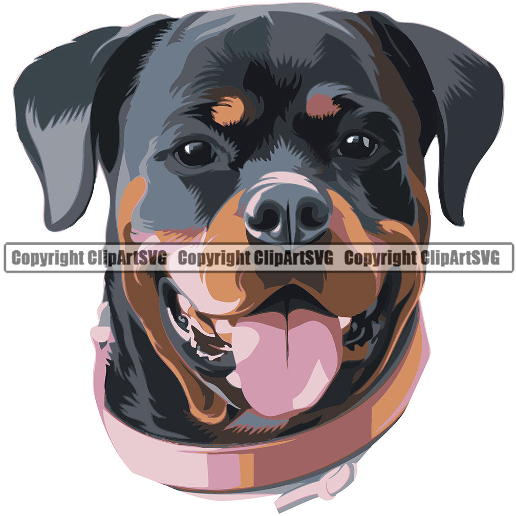 Rottweiler Dog Breed Head Color ClipArt SVG