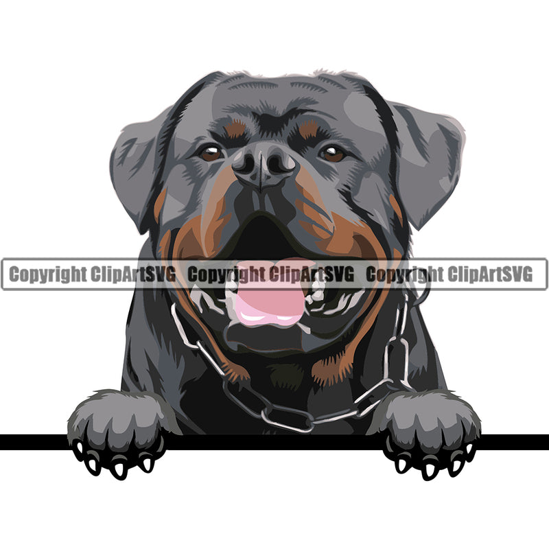 Rottweiler Peeking Dog Breed ClipArt SVG