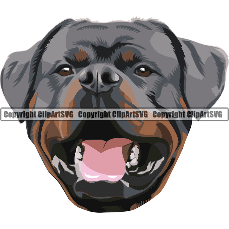 Rottweiler Dog Breed Head Color ClipArt SVG