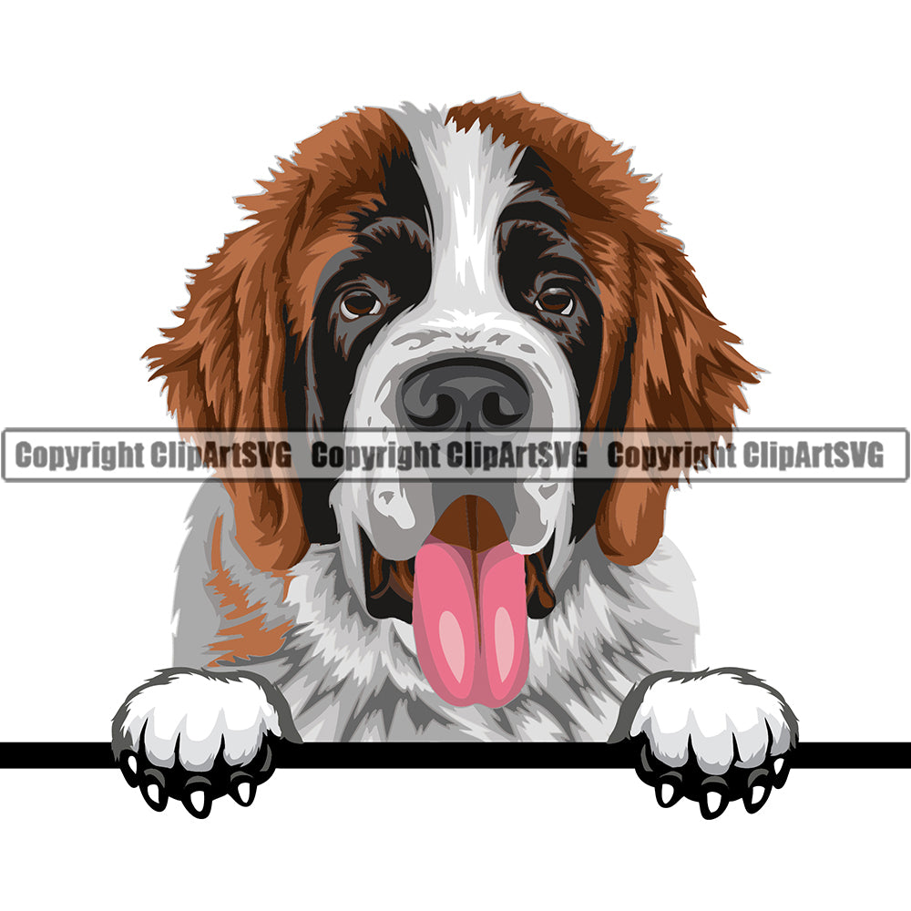 Saint Bernard Dog Breed Peeking Color ClipArt SVG