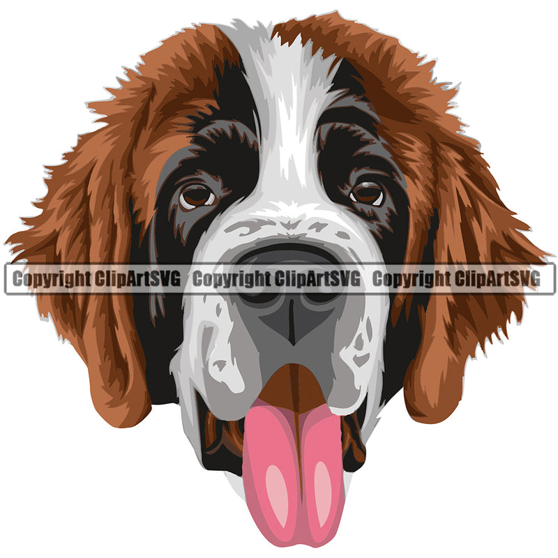 Saint Bernard Dog Breed Head Face ClipArt SVG