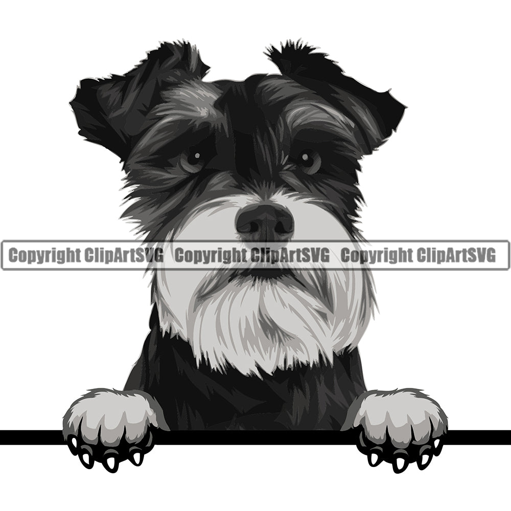 Schnauzer Dog Breed Peeking Color ClipArt SVG