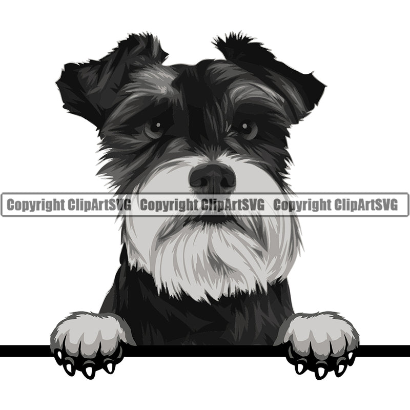 Schnauzer Dog Breed Peeking Color ClipArt SVG