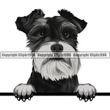 Schnauzer Dog Breed Peeking Color ClipArt SVG