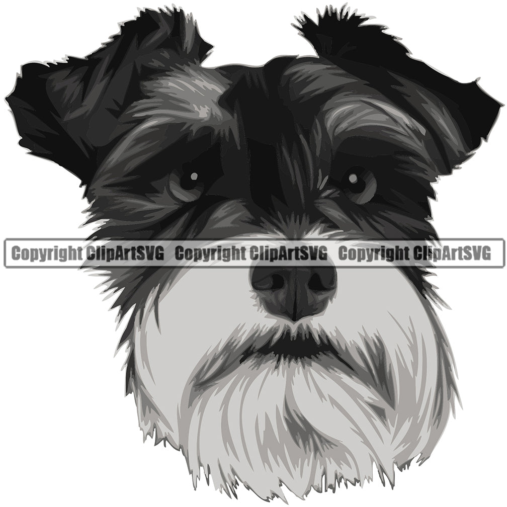 Schnauzer Dog Breed Head Color ClipArt SVG