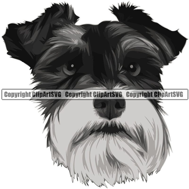 Schnauzer Dog Breed Head Color ClipArt SVG
