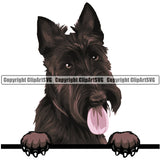 Scottish Terrier Dog Breed Peeking Color ClipArt SVG