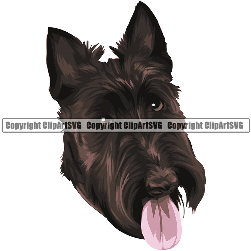 Scottish Terrier Dog Breed Head Color ClipArt SVG