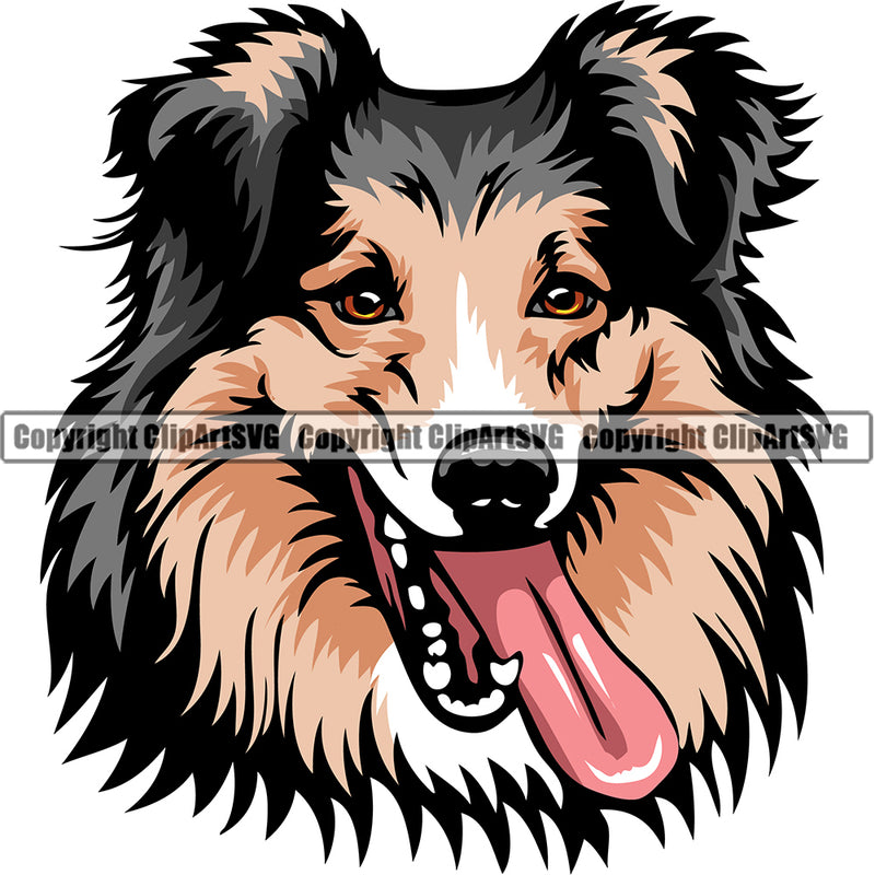 Shetland Sheepdog Dog Breed Head Color ClipArt SVG