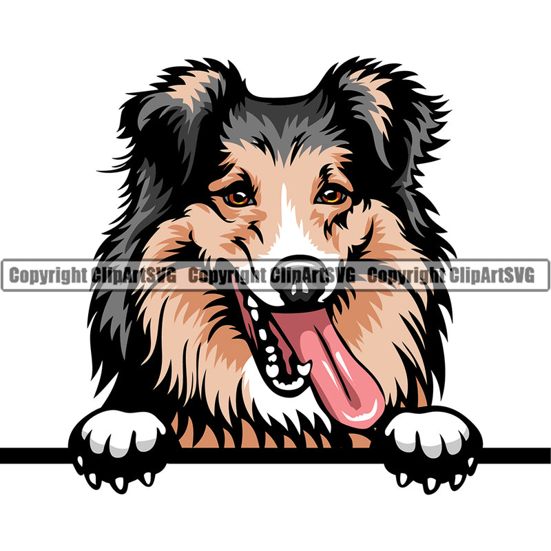 Shetland Sheepdog Peeking Dog Breed ClipArt SVG