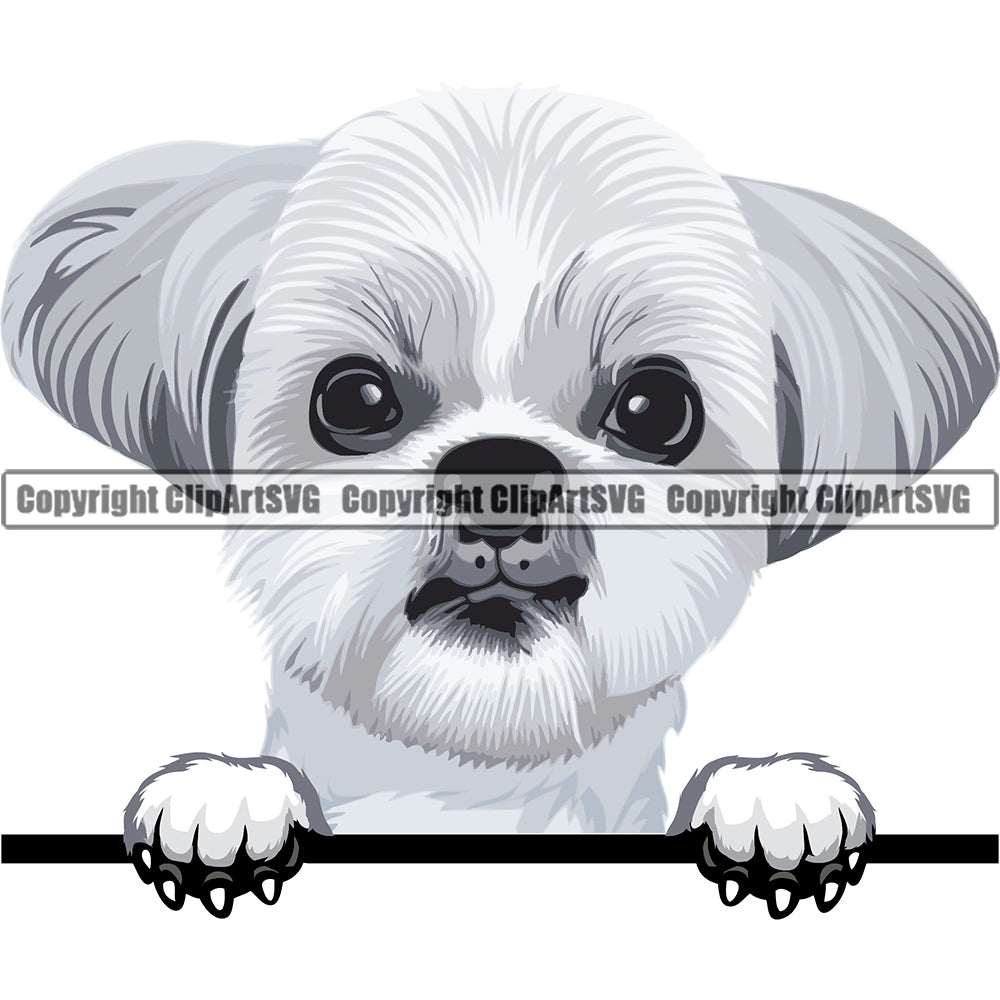 Shih Tzu Dog Breed Peeking Color ClipArt SVG