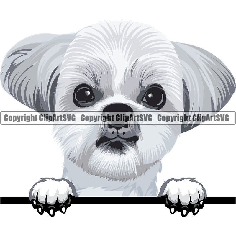 Shih Tzu Dog Breed Peeking Color ClipArt SVG
