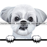 Shih Tzu Dog Breed Peeking Color ClipArt SVG