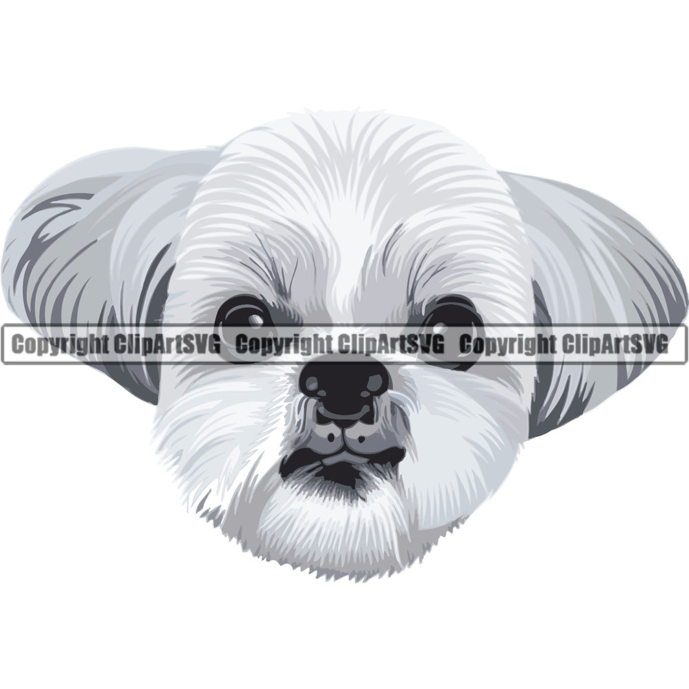 Shih Tzu Dog Breed Head Color ClipArt SVG